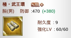 極·武王環 SR+