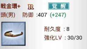 戦金環+  R